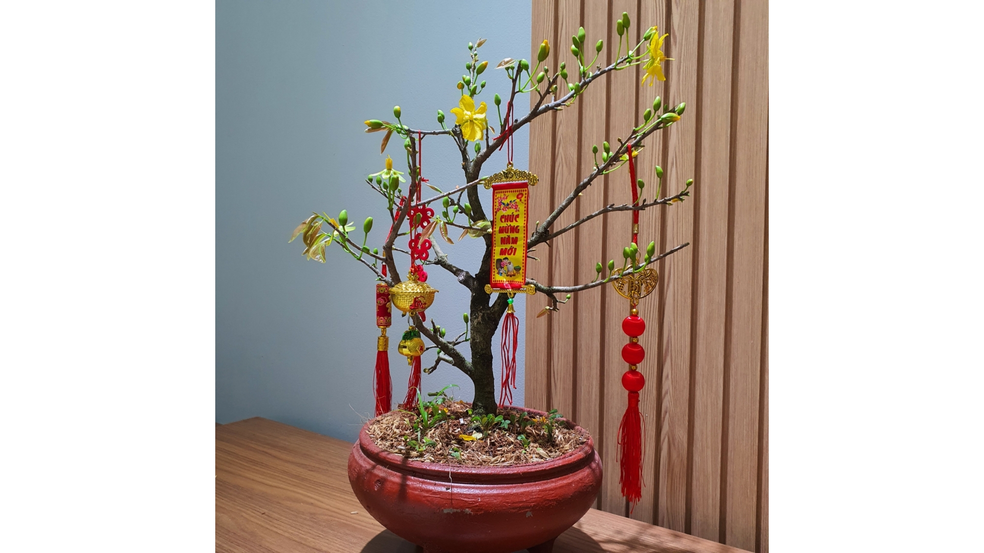 Thi công nội thất căn hộ chị Trang