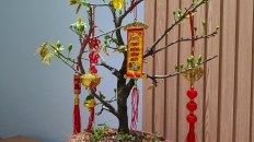 Thi công nội thất căn hộ chị Trang